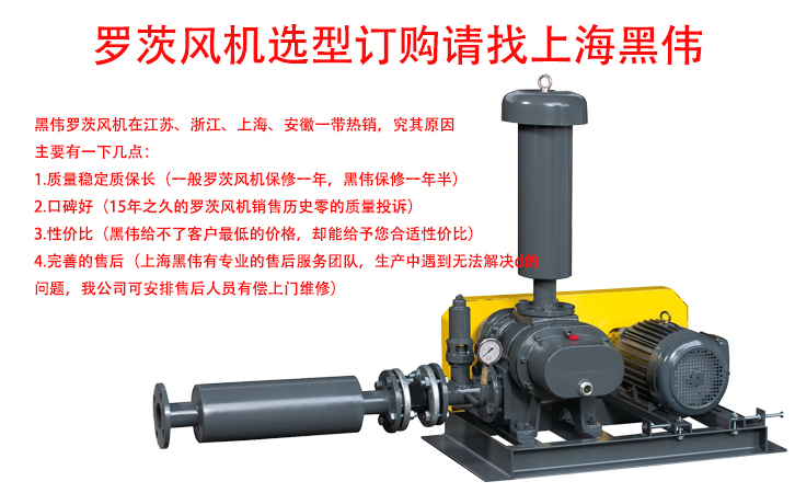 罗茨樱桃视频污污污订购