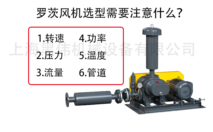 罗茨樱桃视频污污污选型注意参数