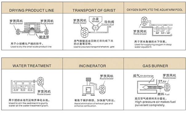 罗茨樱桃视频污污污用途